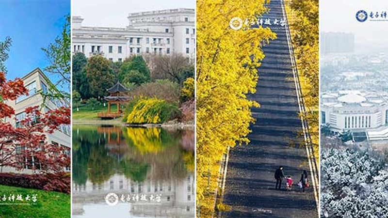 电路板打样样品测试，揭秘高效检测流程