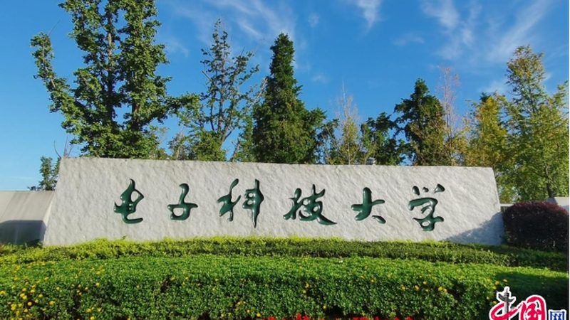 松下贴片机：揭秘其价格构成与选购要点
